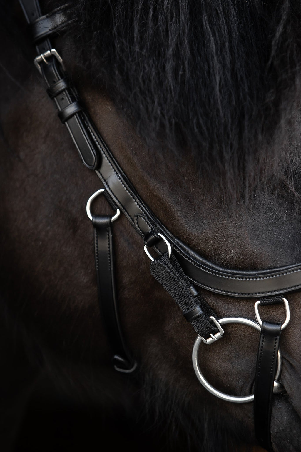 Ófeigur Anatomical Bridle
