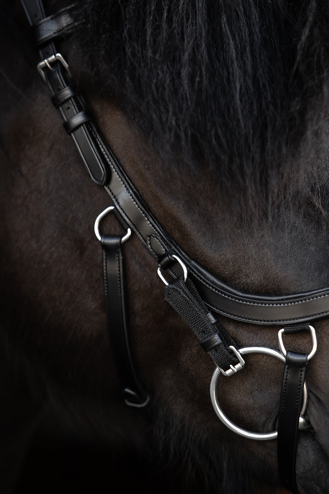 Ófeigur Anatomical Bridle