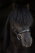 Ófeigur Anatomical Bridle