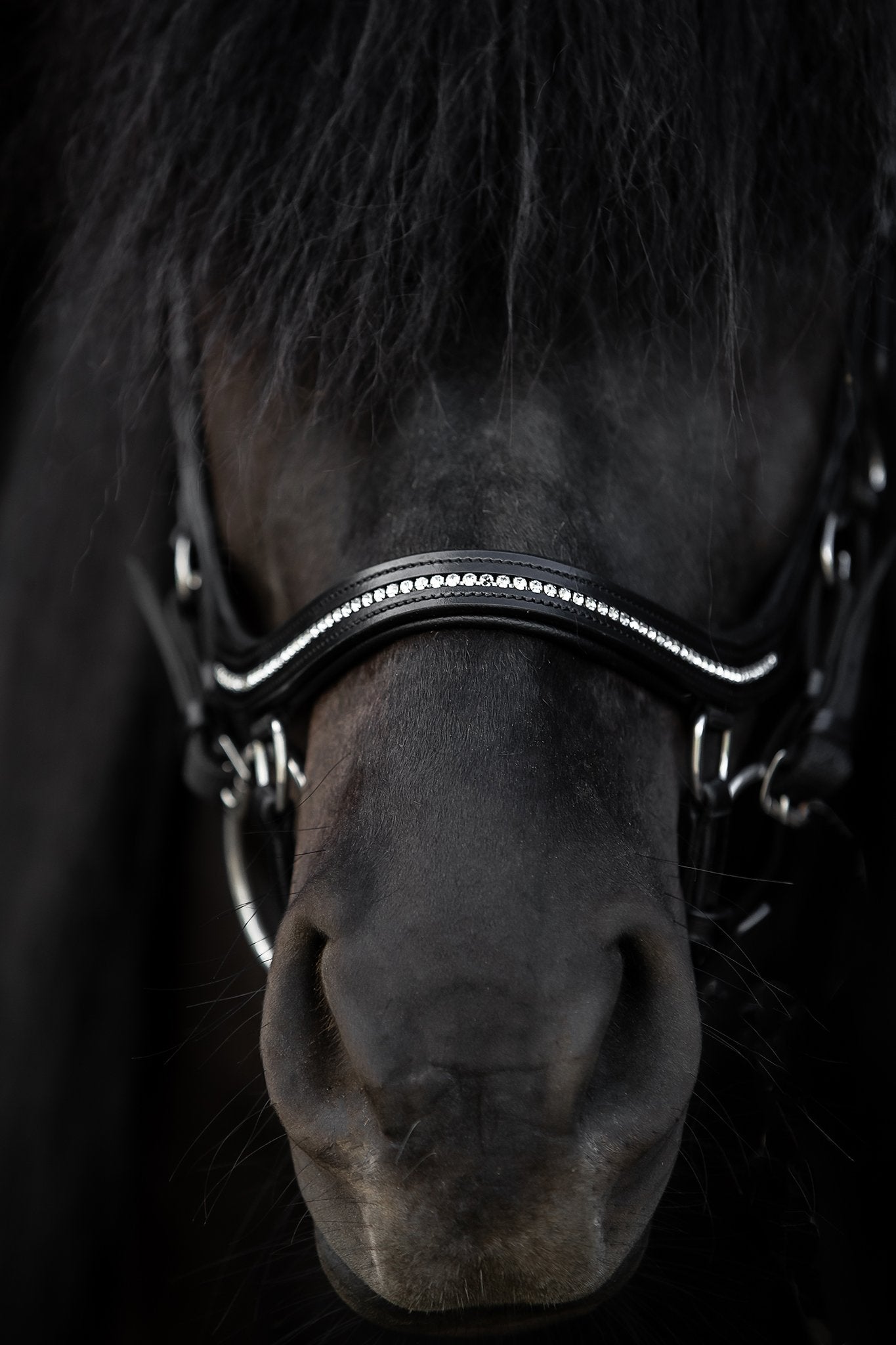 Ófeigur Anatomical Bridle
