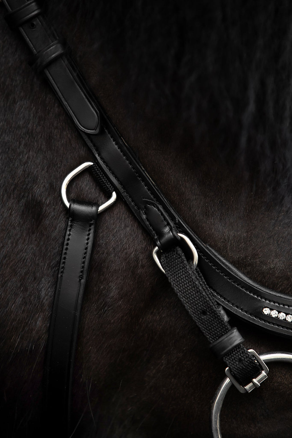 Ófeigur Anatomical Bridle