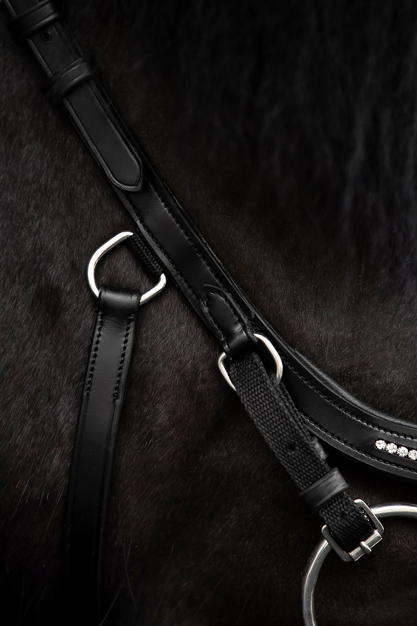Ófeigur Anatomical Bridle