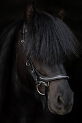 Ófeigur Anatomical Bridle