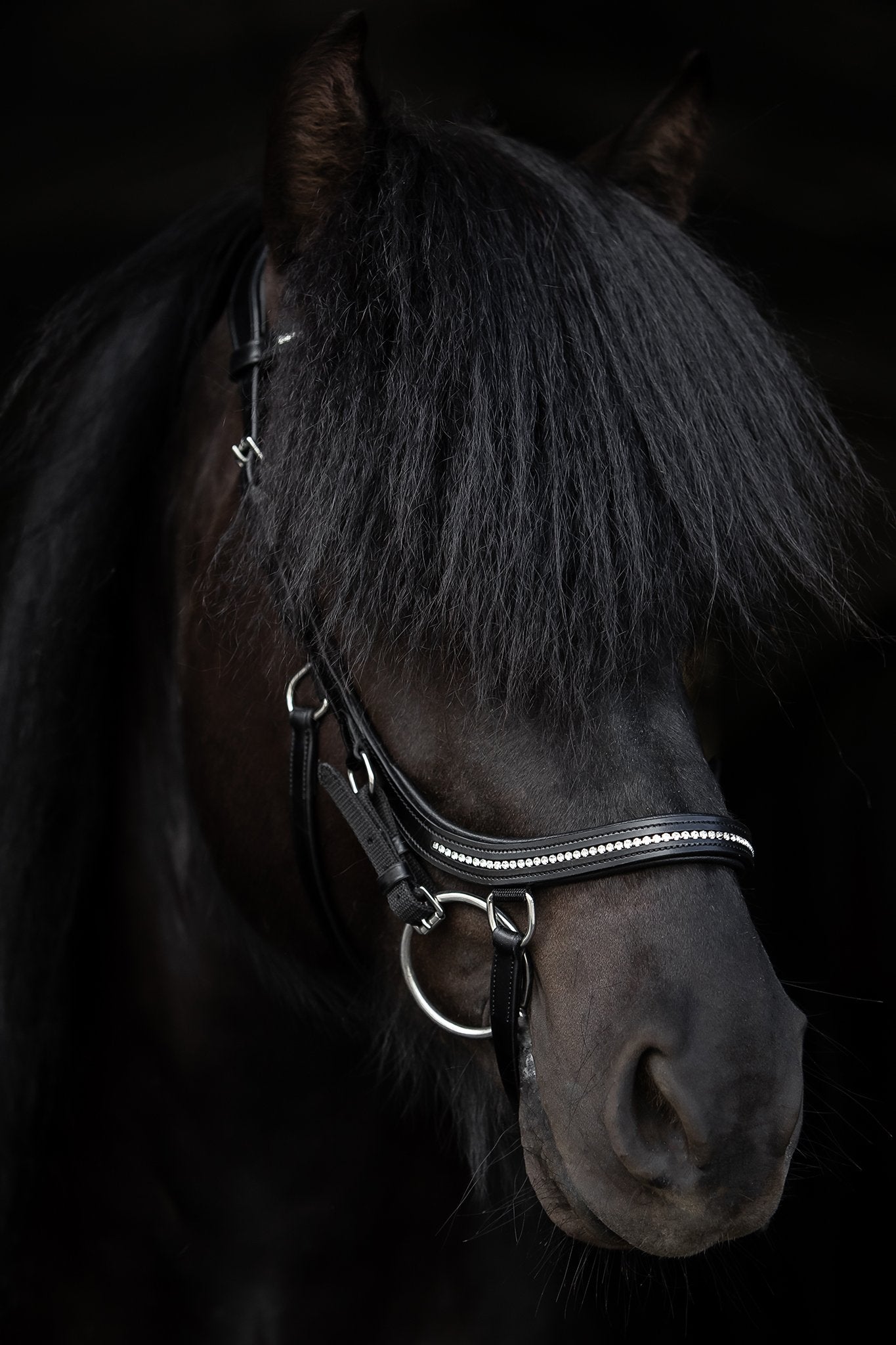 Ófeigur Anatomical Bridle