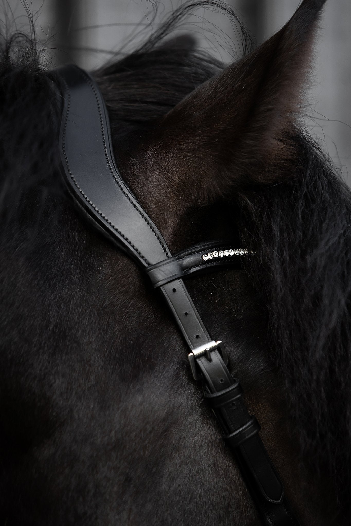 Ófeigur Anatomical Bridle