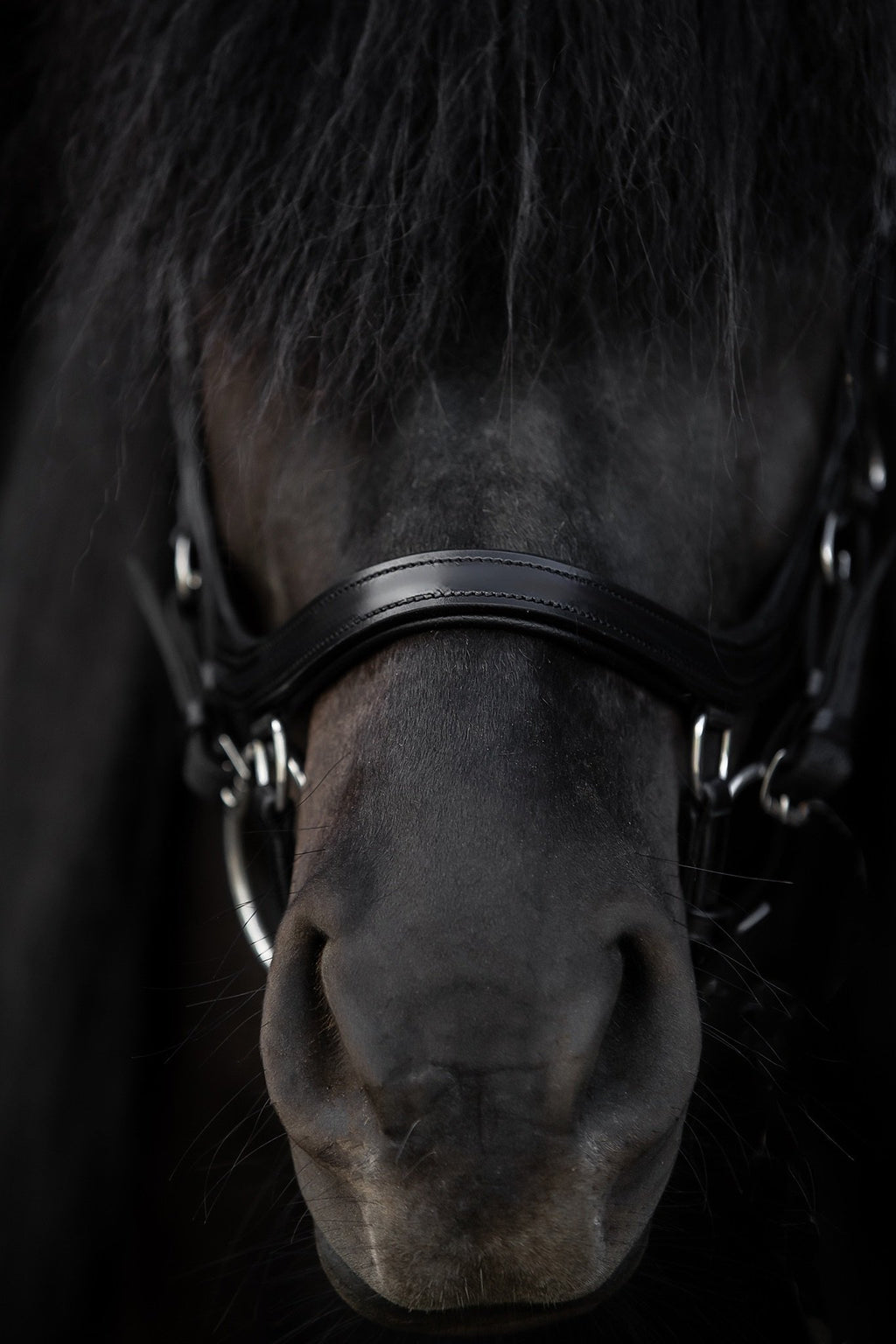 Ófeigur Anatomical Bridle