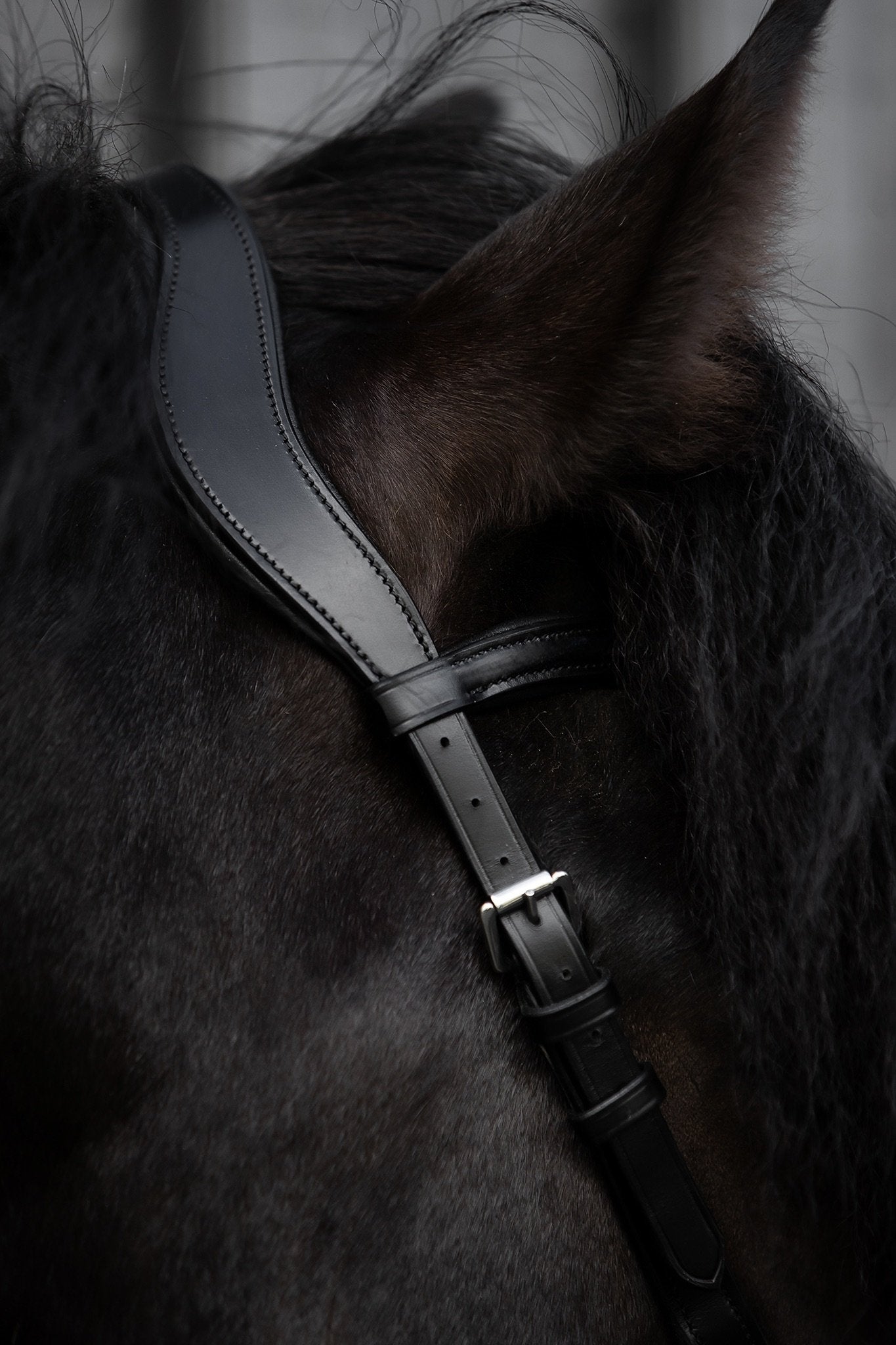 Ófeigur Anatomical Bridle