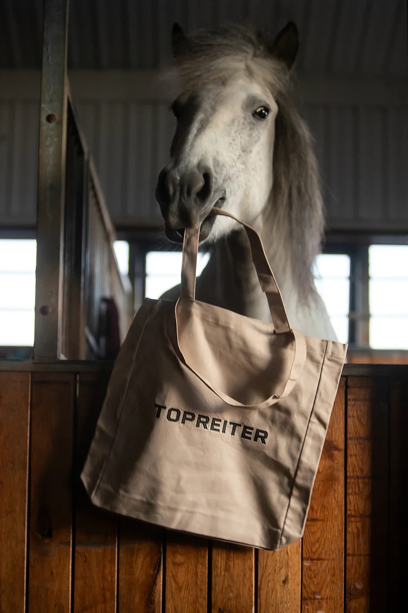 Cotton Bag