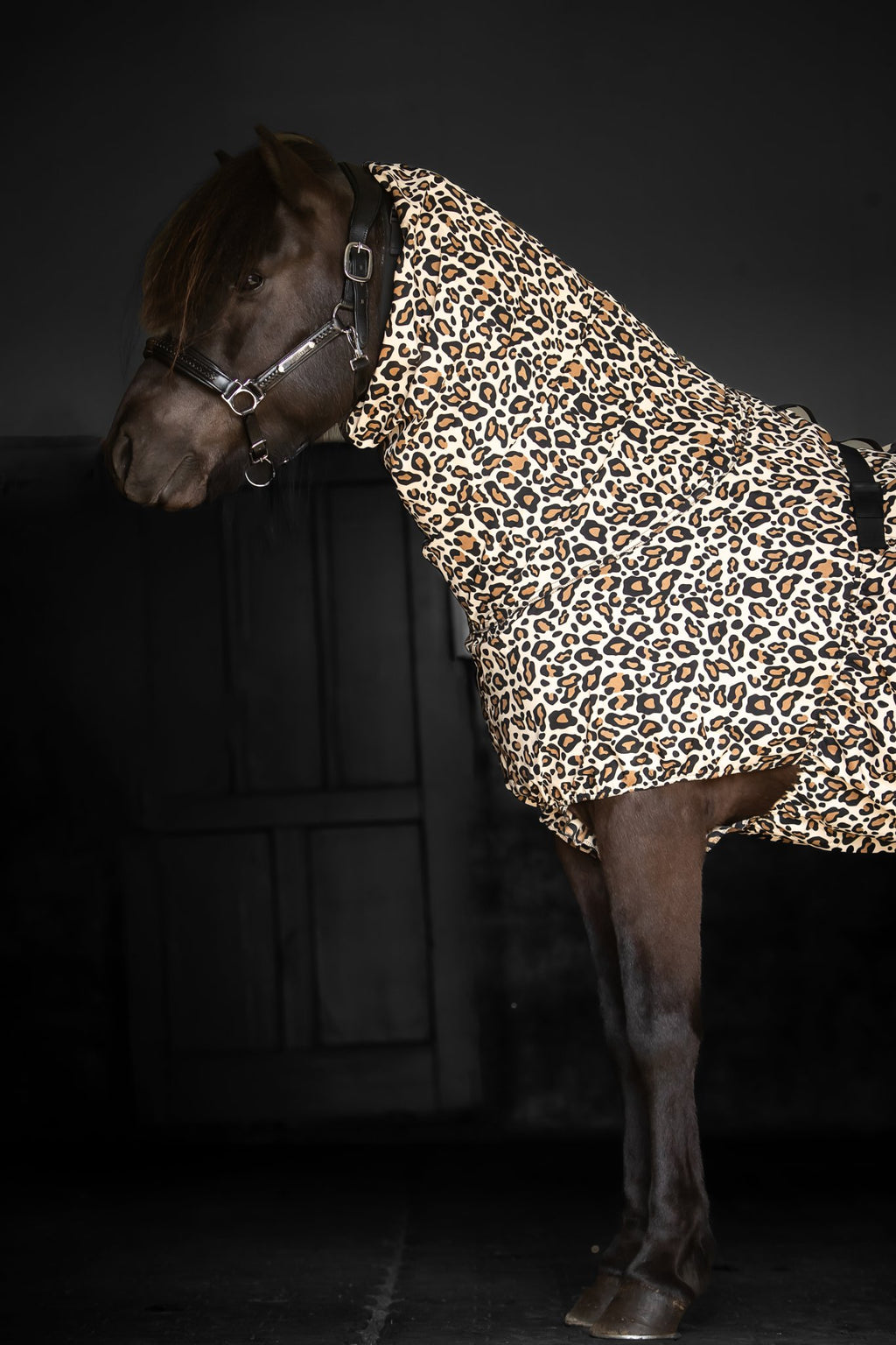 Eksemdækken – Leopard