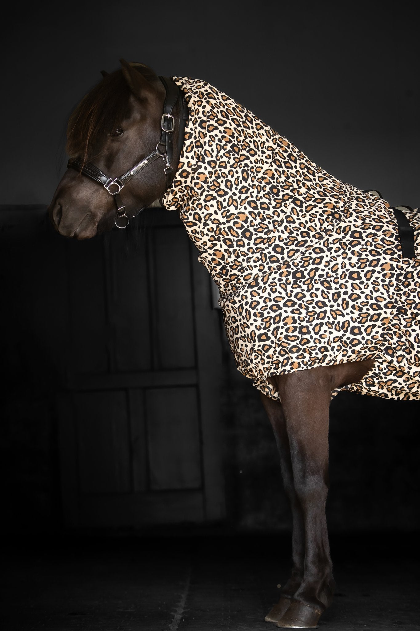 Eksemdækken – Leopard