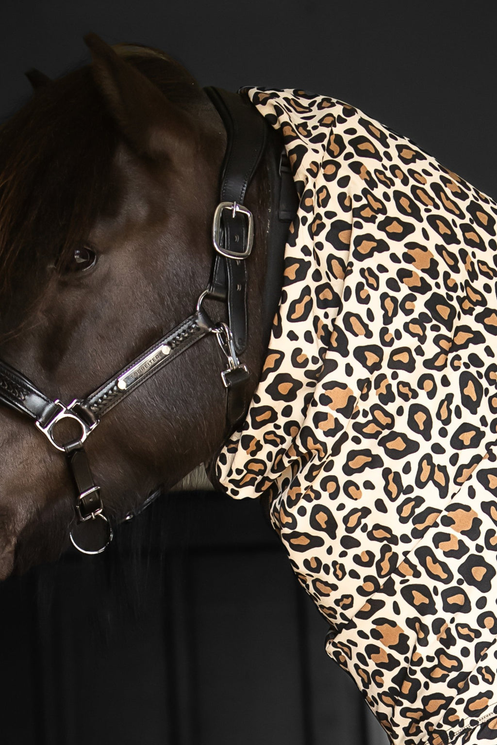 Eksemdækken – Leopard