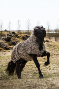 Eksemdækken – Leopard