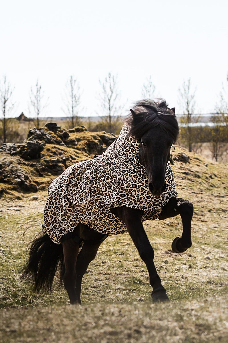 Eksemdækken – Leopard