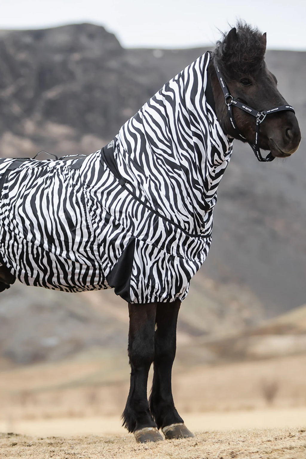 Eksemdækken Zebra
