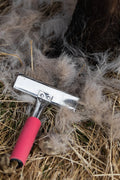 Curry Comb strigle