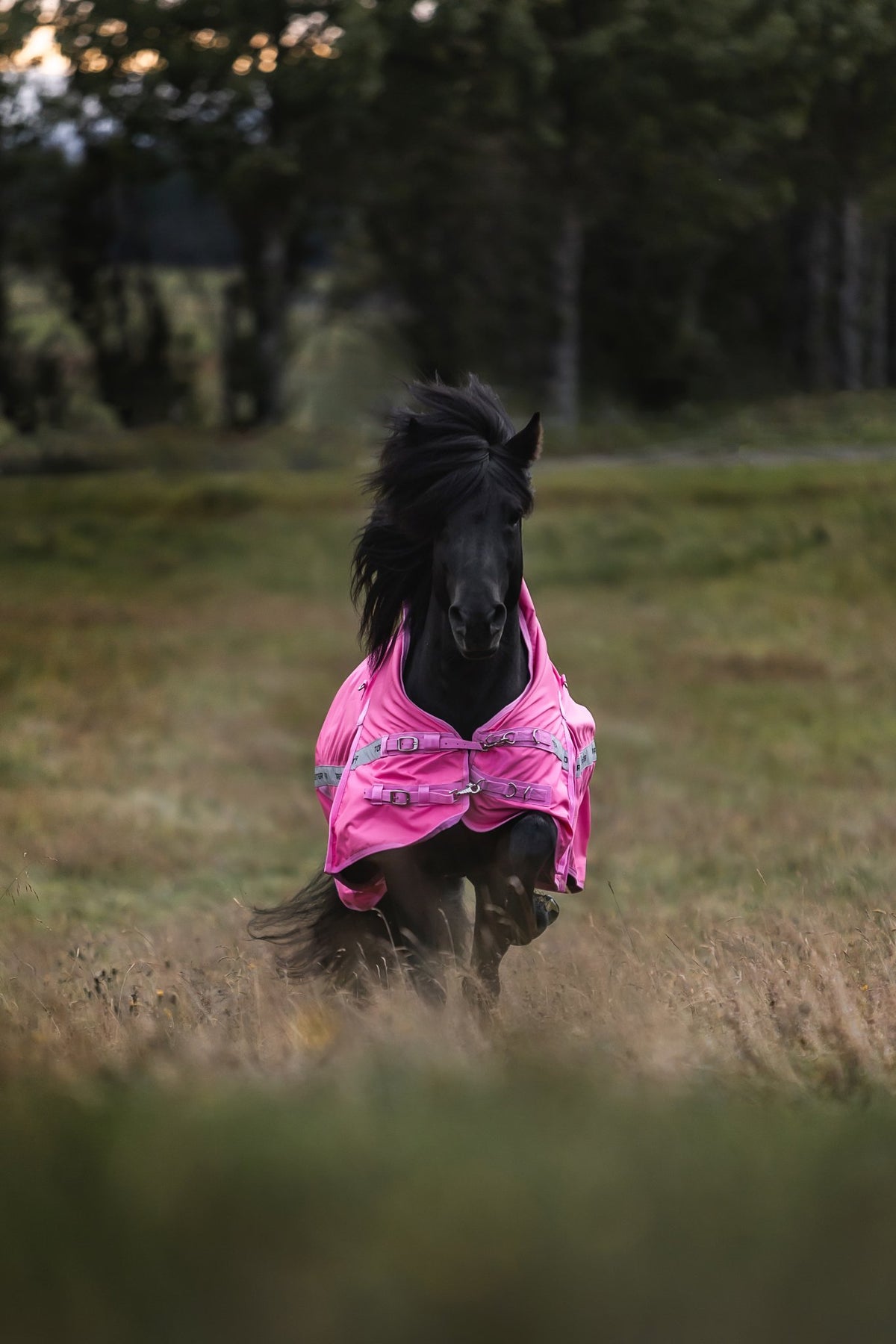 TOPREITER Regndækken Pink