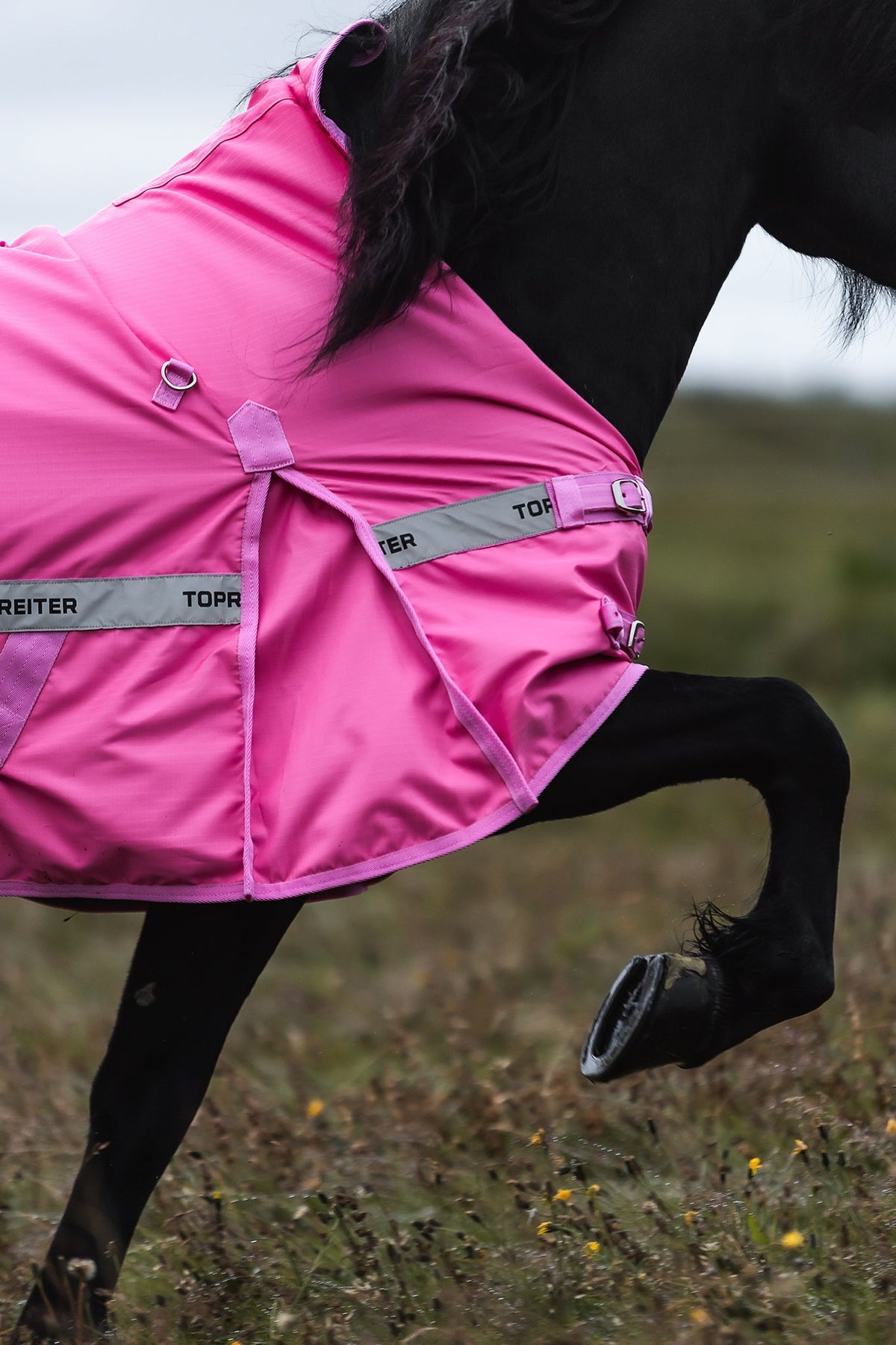TOPREITER Regndækken Pink