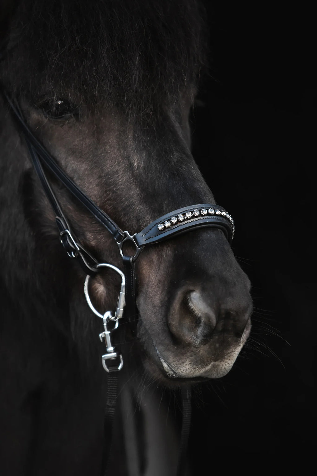 Diamond Næsebånd