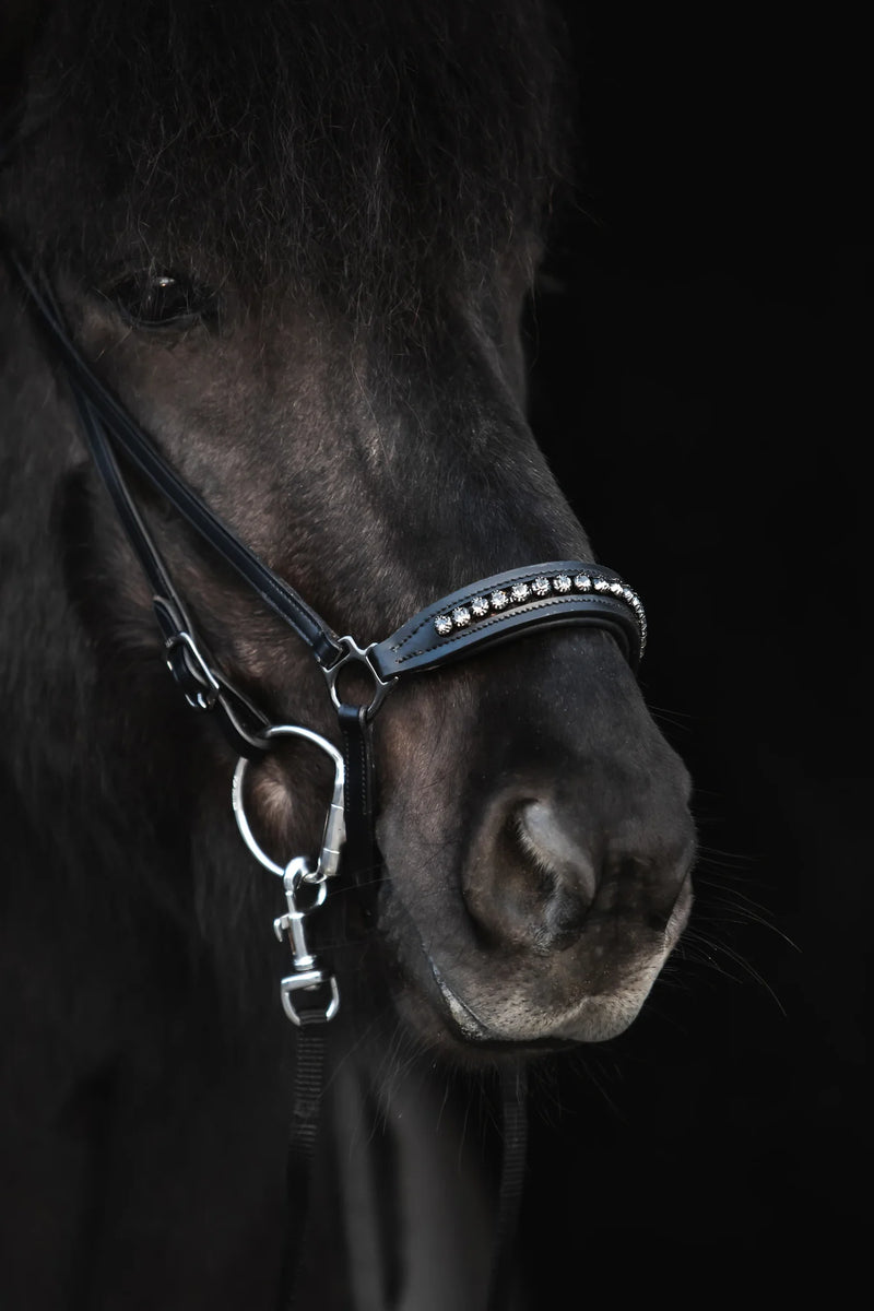Diamond Næsebånd