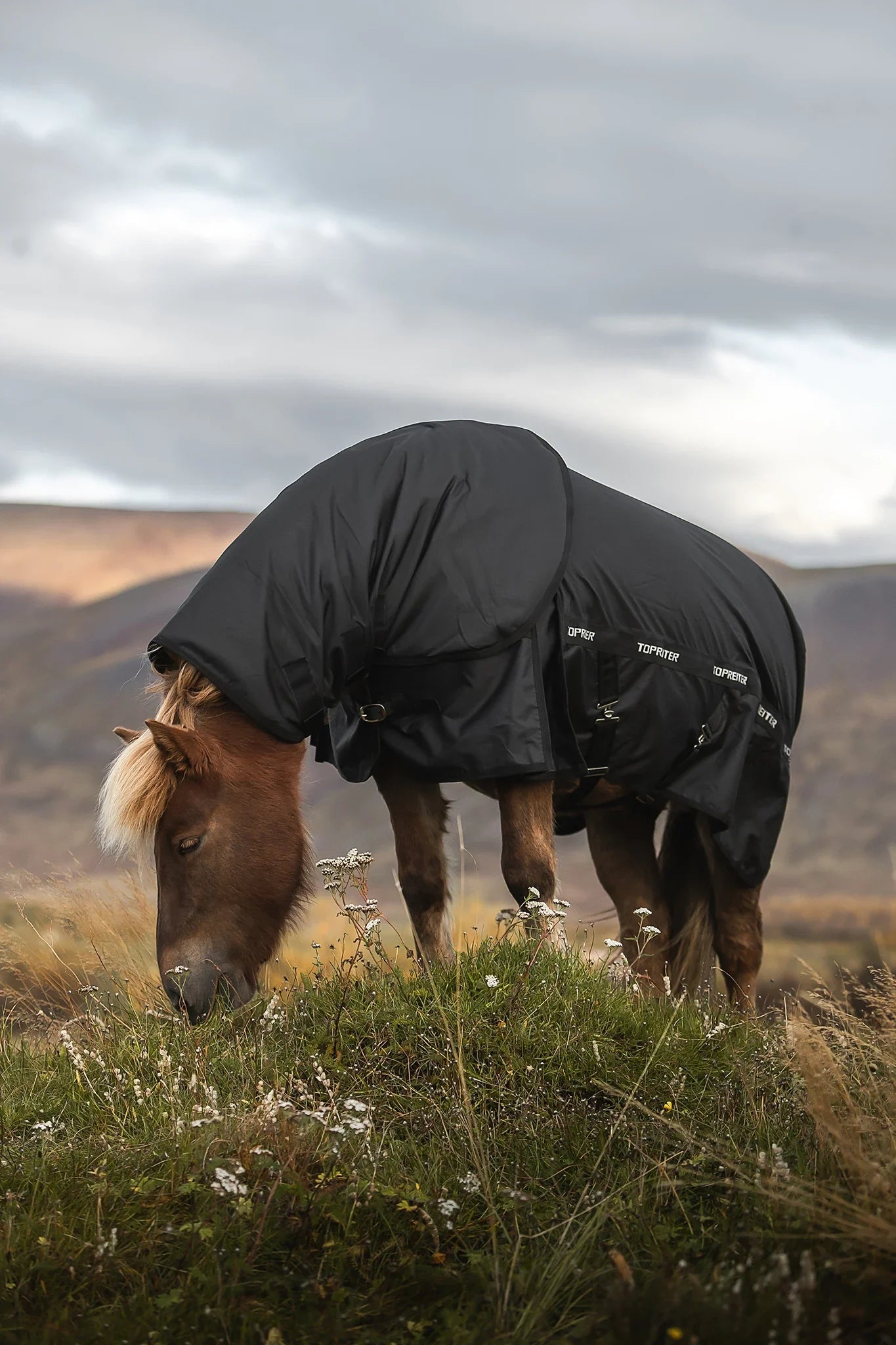 Regn Dækken