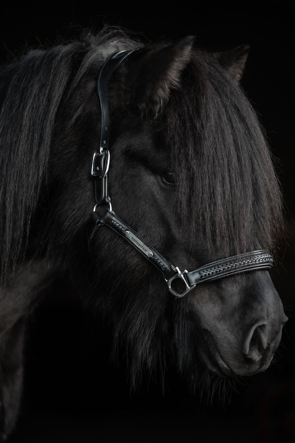 Snillingur Leather Halter