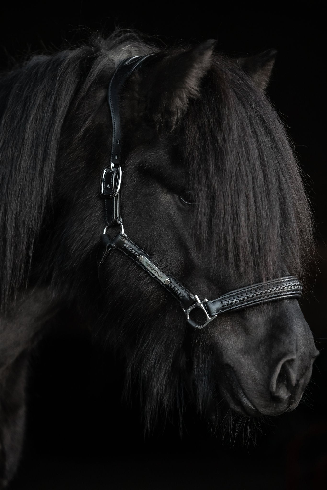 Snillingur Leather Halter