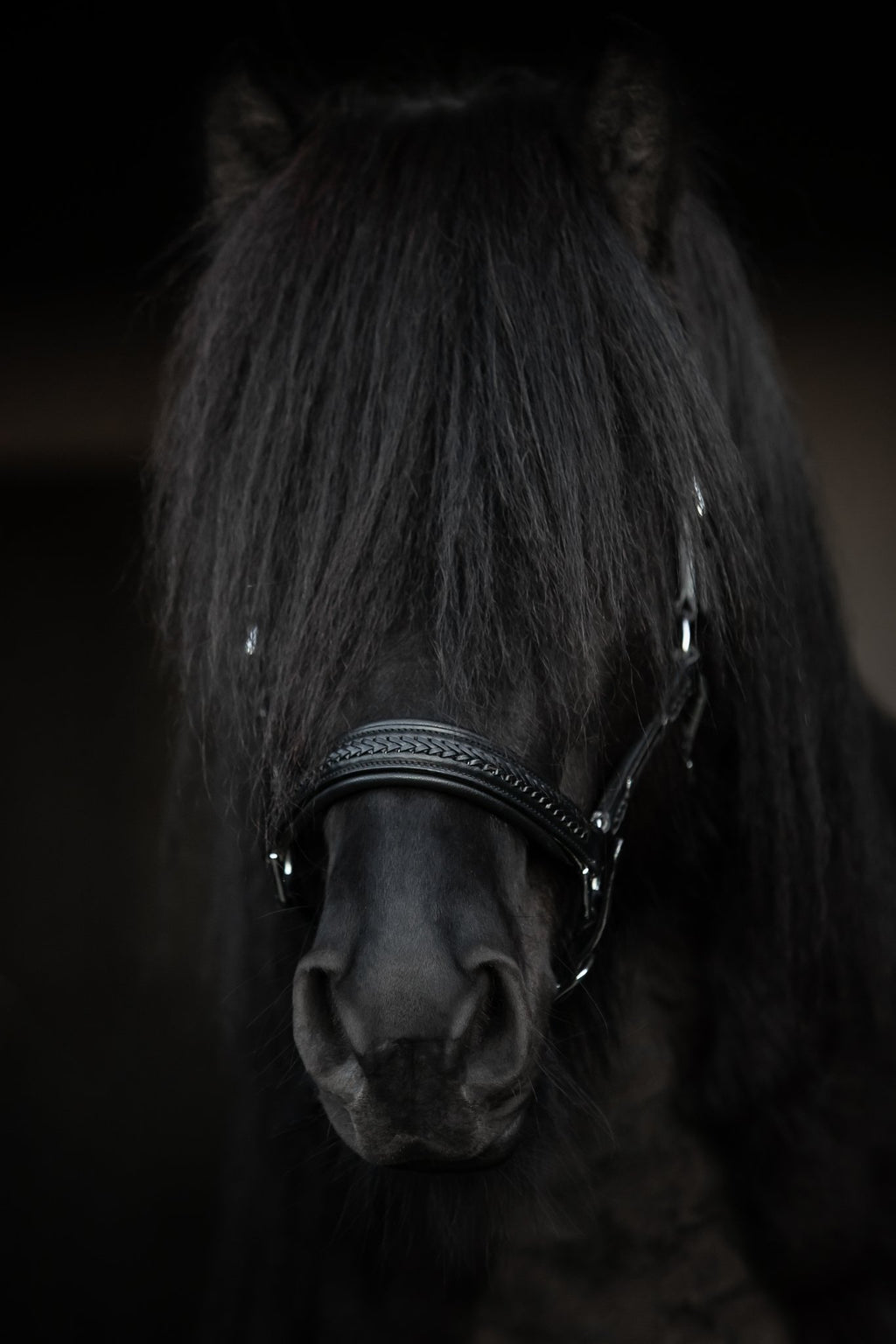 Snillingur Leather Halter