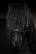 Snillingur Leather Halter