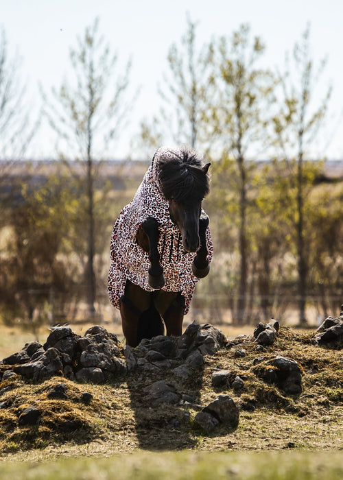 Eksemdækken – Pink Leopard