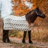 Ulddækken i islandsk uld – heste – beige