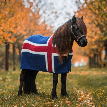 ødemark dræbe Nikke Ulddækken i islandsk uld - islandsk flag - Top Reiter Danmark | Rideudstyr