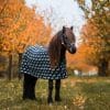 Ulddækken i islandsk uld – heste – sort