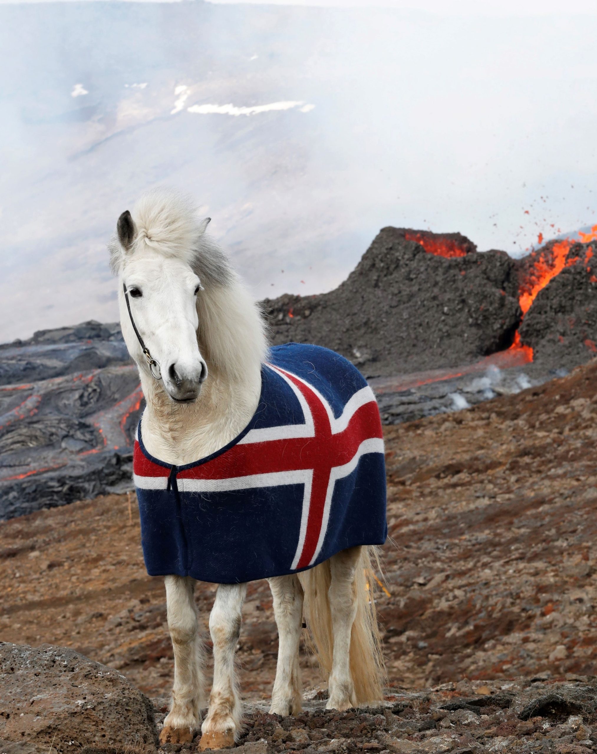 Ulddækken i islandsk uld – islandsk flag