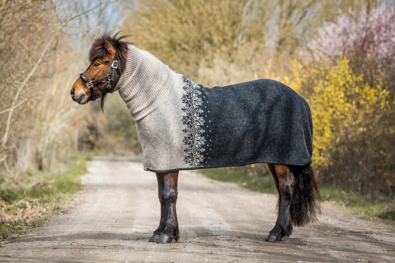 Ulddækken i islandsk uld med rullekrave hals Beige – Mønster