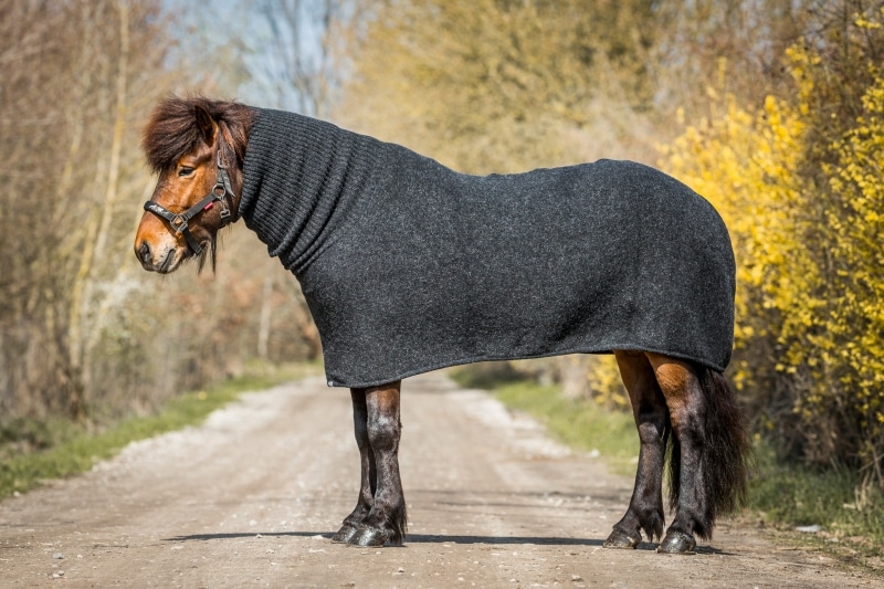Ulddækken i islandsk uld med rullekrave hals – Mørkegrå