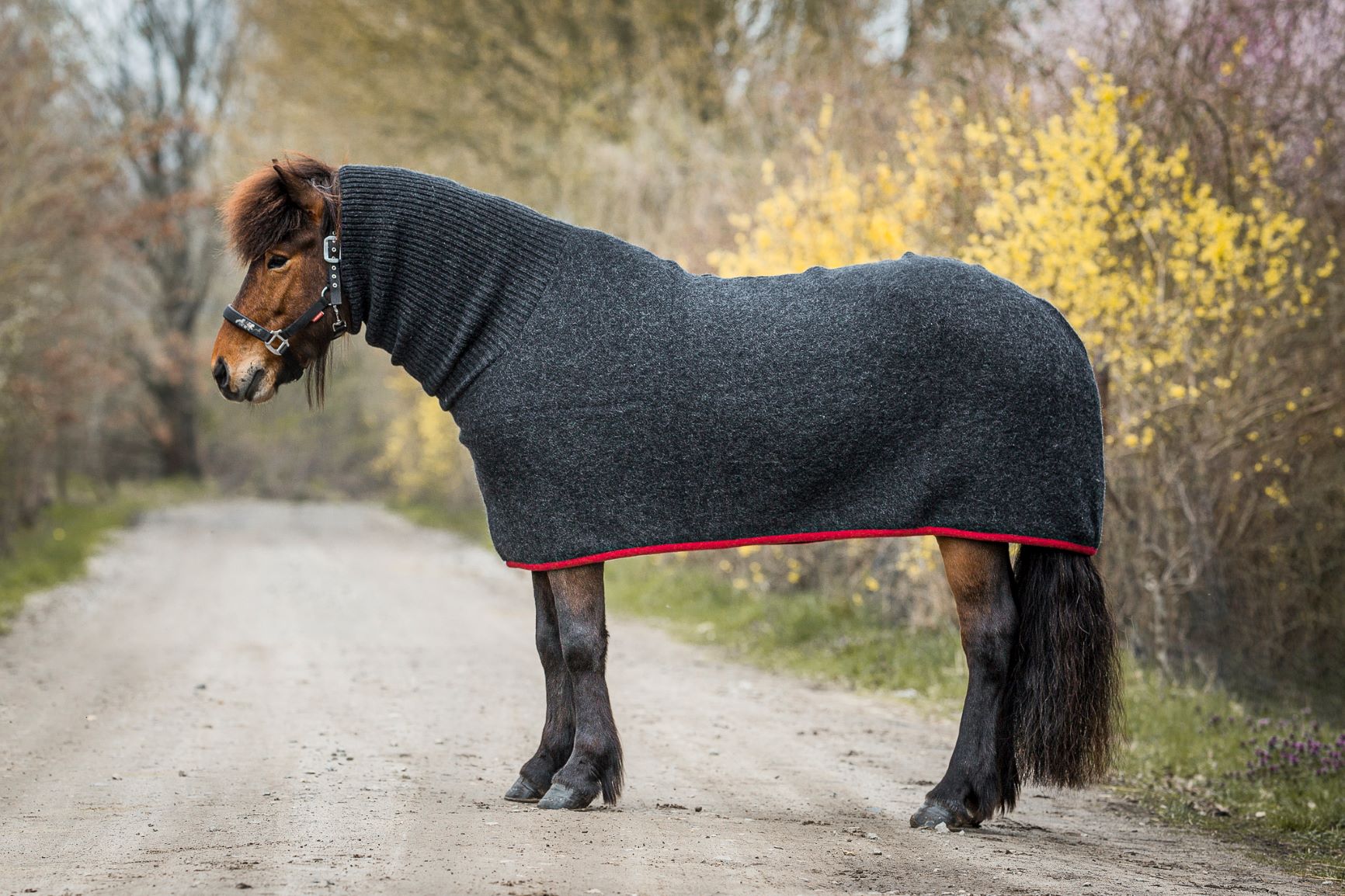 Ulddækken i islandsk uld med rullekravehals – Mørkegrå/rød