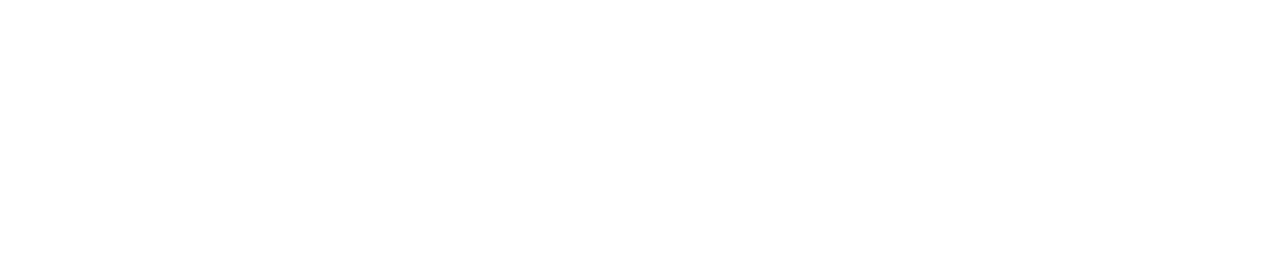 Top Reiter Danmark